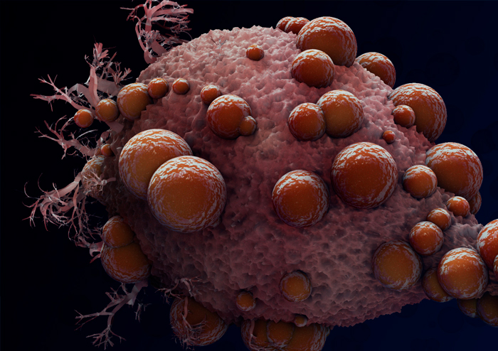 Images scientifiques