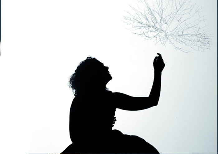 Folle Alliées – Tableaux vidéos